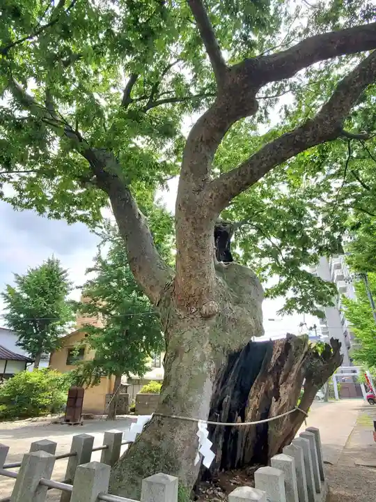 阿邪訶根神社(福島県)