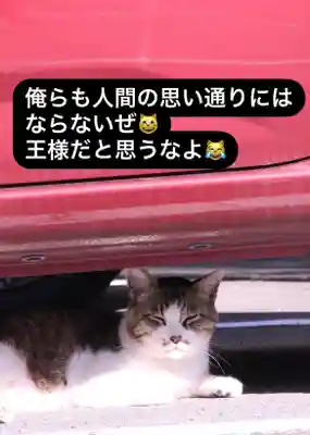 専念寺(大阪府)