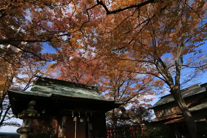 愛宕神社の本殿・本堂