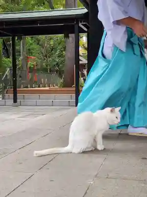 愛宕神社(東京都)