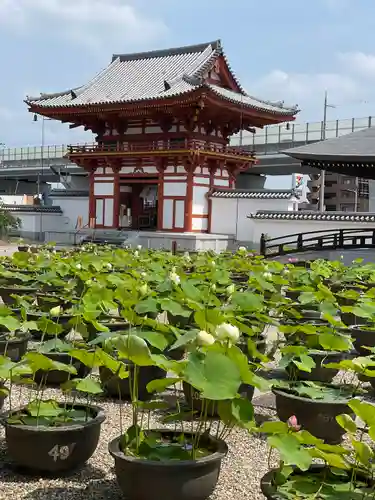 喜光寺のその他建物