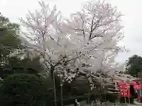 戒光寺(戒光律寺)(京都府)