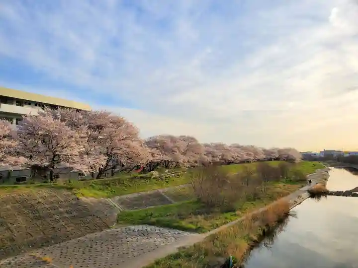 天が岡若宮神社の周辺