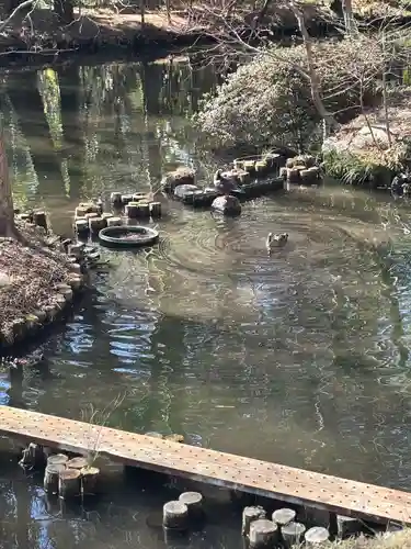 深大寺(東京都)