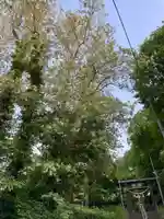 上野幌神社(北海道)