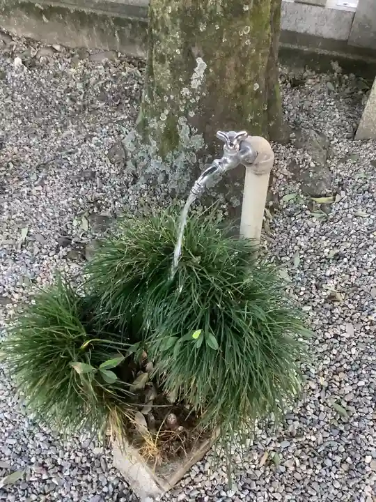 御井神社の手水舎
