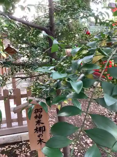 闇之森八幡社の自然