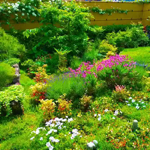 寿量山　速成寺(奈良県)