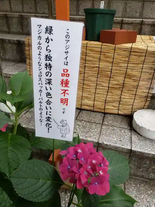 十番稲荷神社のその他建物