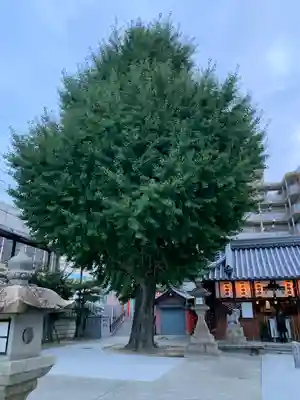 住吉神社の自然