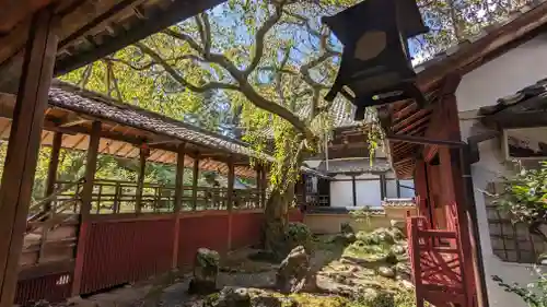 十輪寺(京都府)