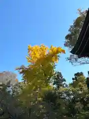 伊佐須美神社(福島県)