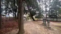 須佐之男神社(奈良県)