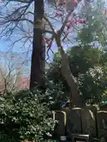 専徳寺(千葉県)