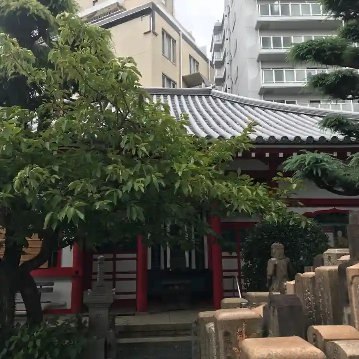 真光院の本殿・本堂