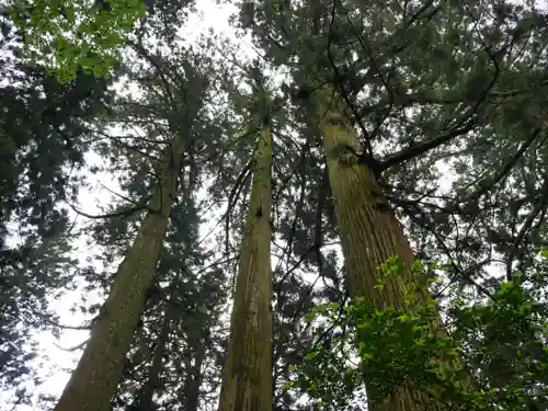 花園神社(茨城県)
