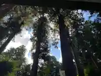 大宮温泉神社(栃木県)