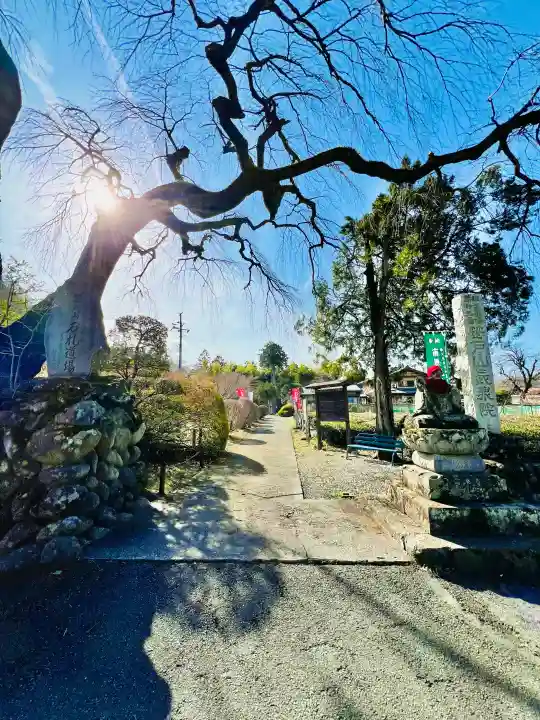 長泉院の{uncategorized: "未分類", other: "その他", undefined: "問題あり", building: "その他建物", grave: "お墓", sacred_gate: "鳥居", guardian: "狛犬", statue: "像", buddha: "仏像", history: "歴史", nature: "自然", garden: "庭園", animal: "動物", pagoda: "塔", temizu: "手水舎", mountain_gate: "山門・神門", sanctuary: "本殿・本堂", subordinate: "末社・摂社", art: "芸術", scenery: "景色", jizo: "地蔵", ema: "絵馬", goshuin: "御朱印", omikuji: "おみくじ", items: "授与品その他", amulet: "お守り", goshuincho: "御朱印帳", eats: "食事", festival: "お祭り", votive_dance: "神楽", shichigosan: "七五三参", wedding: "結婚式", experience: "体験その他", initially: "初詣", around: "周辺", anti_infection: "感染症対策"}