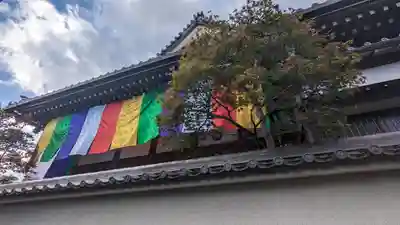 来迎寺(井戸来迎寺・紫雲山来迎寺)(京都府)