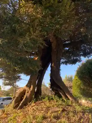 庚申神社(千葉県)