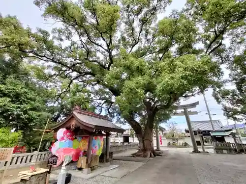 大御和神社の建物その他