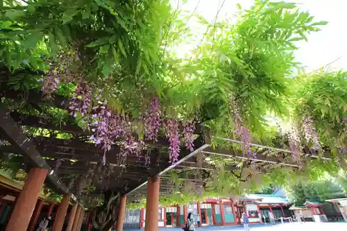 日枝神社の庭園