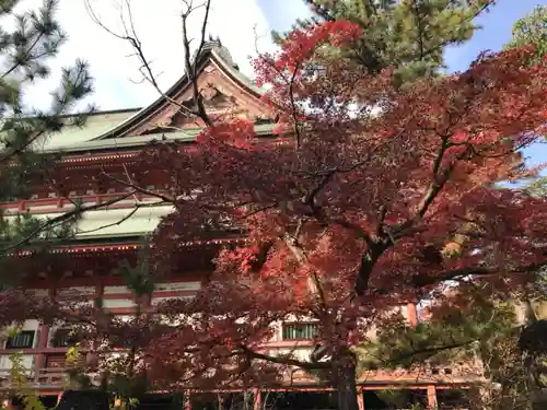 甲斐善光寺の自然