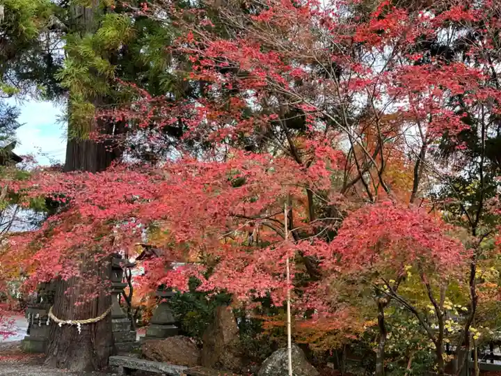 鍬山神社(京都府)