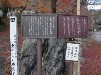金生山 明星輪寺(岐阜県)