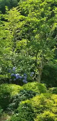 久安寺(大阪府)
