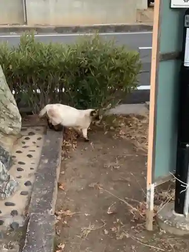 花長公園の社（仮称）の動物