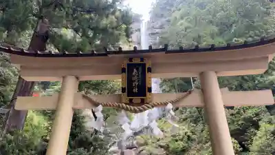 飛瀧神社（熊野那智大社別宮）の{uncategorized: "未分類", other: "その他", undefined: "問題あり", building: "その他建物", grave: "お墓", sacred_gate: "鳥居", guardian: "狛犬", statue: "像", buddha: "仏像", history: "歴史", nature: "自然", garden: "庭園", animal: "動物", pagoda: "塔", temizu: "手水舎", mountain_gate: "山門・神門", sanctuary: "本殿・本堂", subordinate: "末社・摂社", art: "芸術", scenery: "景色", jizo: "地蔵", ema: "絵馬", goshuin: "御朱印", omikuji: "おみくじ", items: "授与品その他", amulet: "お守り", goshuincho: "御朱印帳", eats: "食事", festival: "お祭り", votive_dance: "神楽", shichigosan: "七五三参", wedding: "結婚式", experience: "体験その他", initially: "初詣", around: "周辺", anti_infection: "感染症対策"}