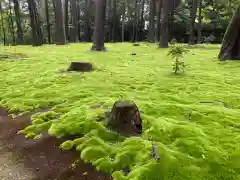 唐招提寺の庭園