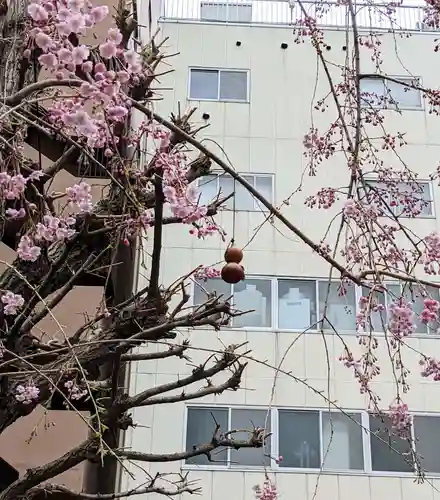 秋葉神社(東京都)