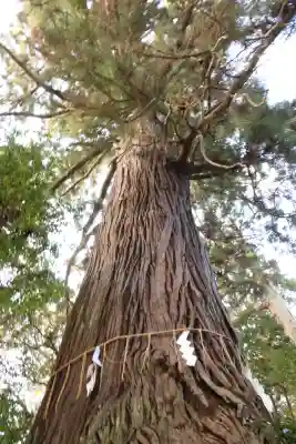 側高神社(千葉県)