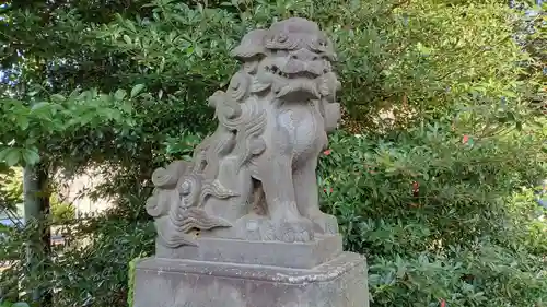 松戸神社の狛犬