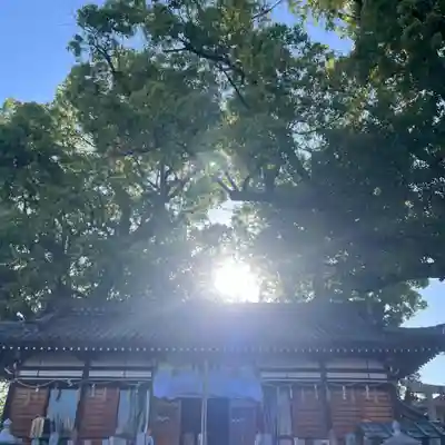 阿保神社(大阪府)
