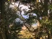 神社(名称不明)(千葉県)