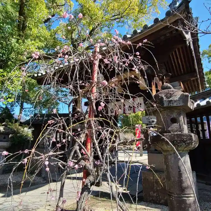 牛嶋天満宮(佐賀県)
