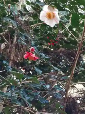 幣立神宮(熊本県)