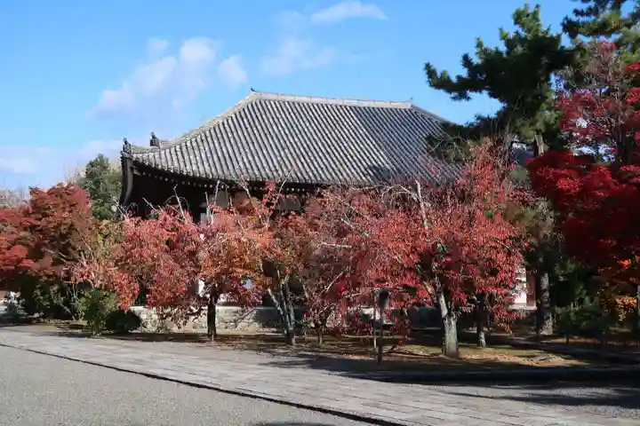 廣隆寺(京都府)