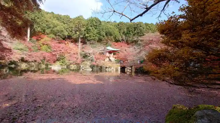 醍醐寺の{uncategorized: "未分類", other: "その他", undefined: "問題あり", building: "その他建物", grave: "お墓", sacred_gate: "鳥居", guardian: "狛犬", statue: "像", buddha: "仏像", history: "歴史", nature: "自然", garden: "庭園", animal: "動物", pagoda: "塔", temizu: "手水舎", mountain_gate: "山門・神門", sanctuary: "本殿・本堂", subordinate: "末社・摂社", art: "芸術", scenery: "景色", jizo: "地蔵", ema: "絵馬", goshuin: "御朱印", omikuji: "おみくじ", items: "授与品その他", amulet: "お守り", goshuincho: "御朱印帳", eats: "食事", festival: "お祭り", votive_dance: "神楽", shichigosan: "七五三参", wedding: "結婚式", experience: "体験その他", initially: "初詣", around: "周辺", anti_infection: "感染症対策"}
