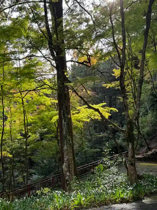 大矢田神社(岐阜県)