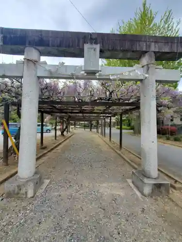 大天白神社(埼玉県)