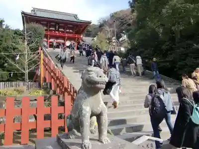 鶴岡八幡宮(神奈川県)