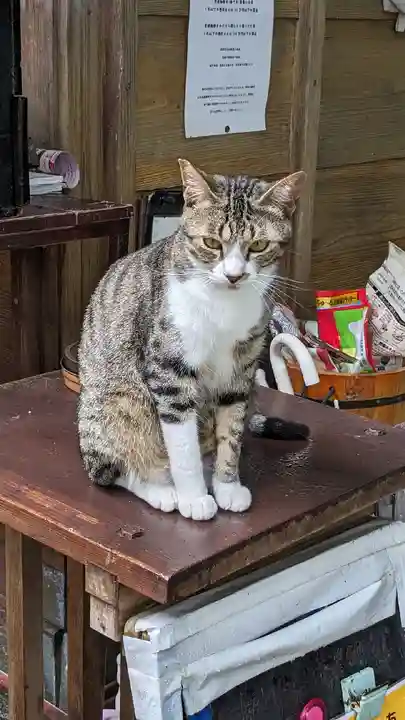 王子神社の動物