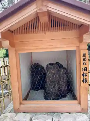 氣比神宮(福井県)