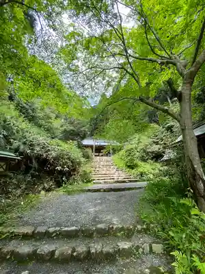 日向大神宮(京都府)