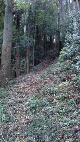 諏訪神社の自然