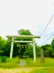 金村別雷神社の鳥居